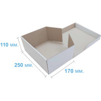 Коробка (250 х 170 х 110), біла