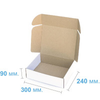 Коробка (300 х 240 х 90), біла